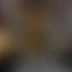 Latex free balloon arch for MCPHS - Eye Candy Balloons